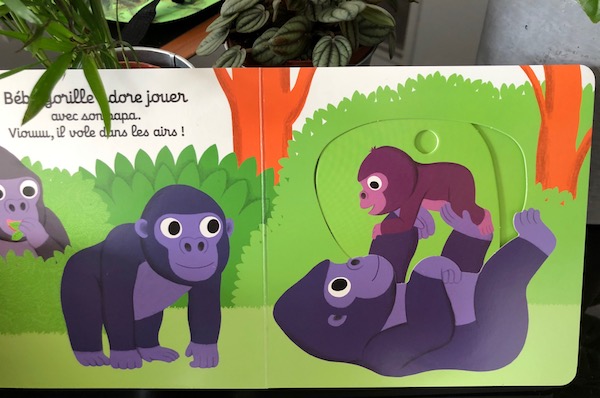 album jeunesse : Bonne nuit bébé gorille ! / Bonne nuit bébé koala ! illustrations de Nathalie CHOUX
