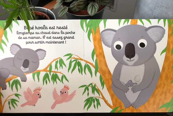 Roman jeunesse : Bonne nuit bébé gorille ! / Bonne nuit bébé koala ! - ; illustrations de Nathalie CHOUX