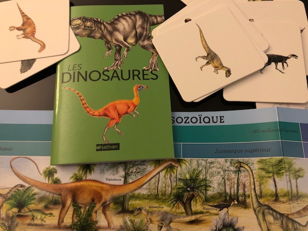 Mon coffret Montessori dinosaures - Dès 5 ans
