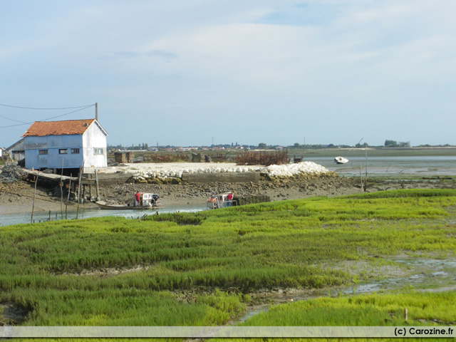 oleron3