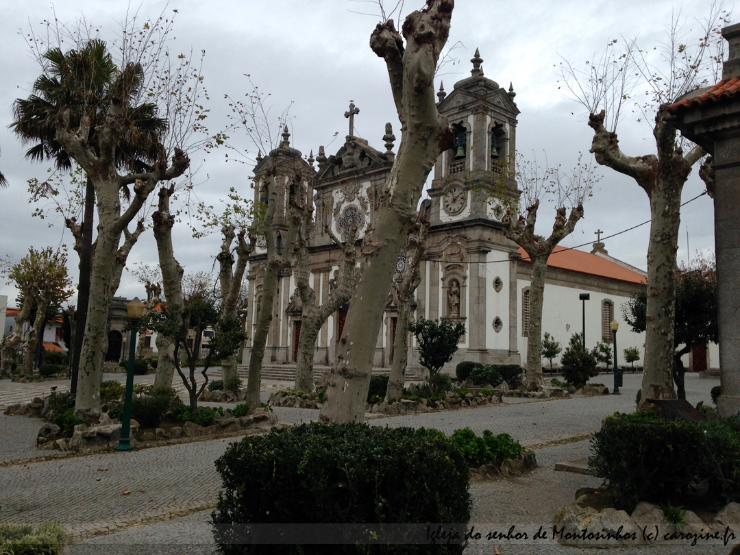 porto-ville-portugal-sejour-dans-douro-portfolio-7