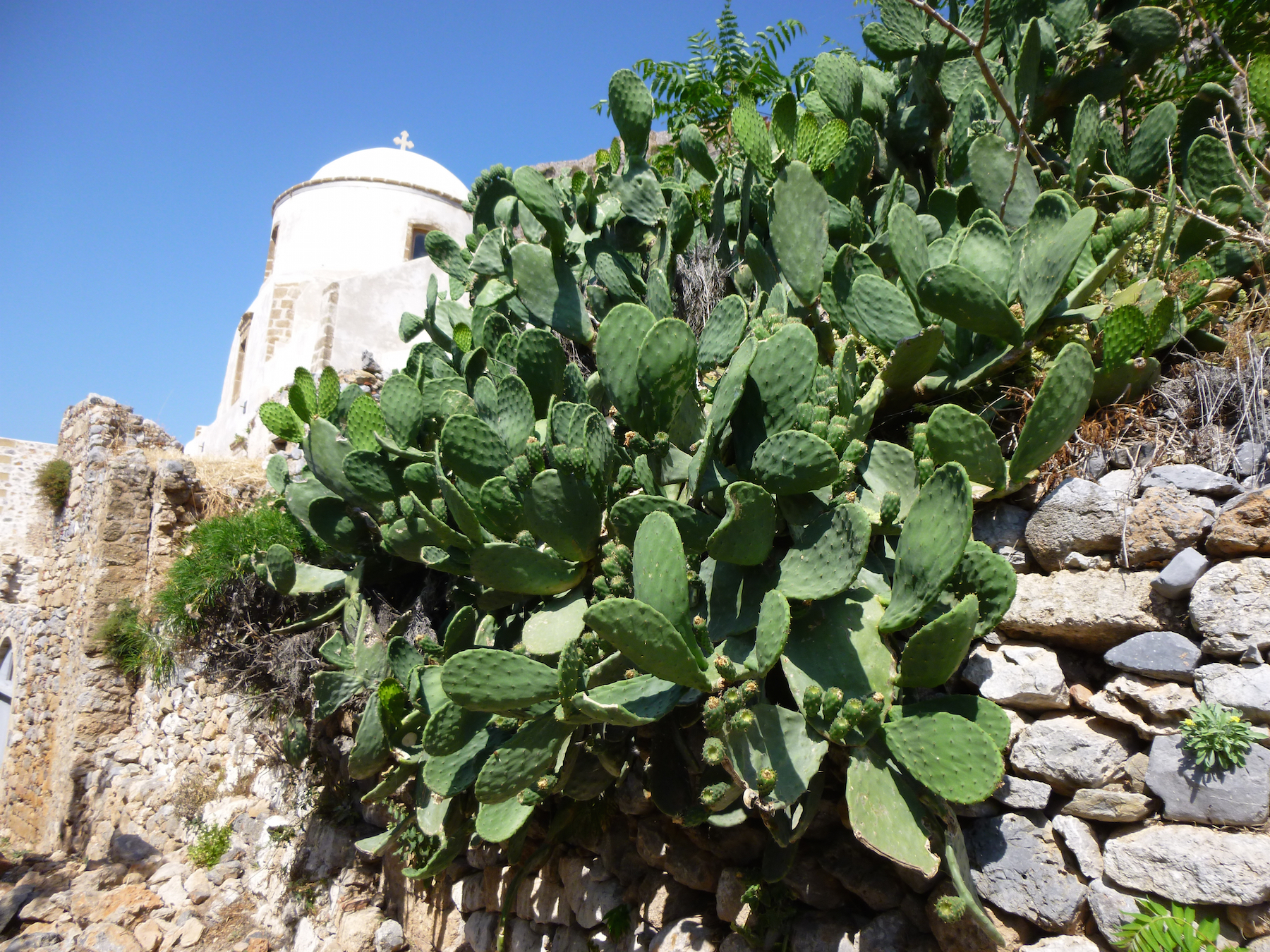 voyage-peloponnese-sejour-laconie-monemvasia-grece-album-8